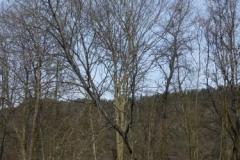DSCN9456
