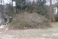DSCN9473
