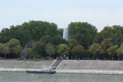 DSC05351