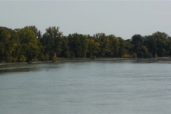 DSC05379